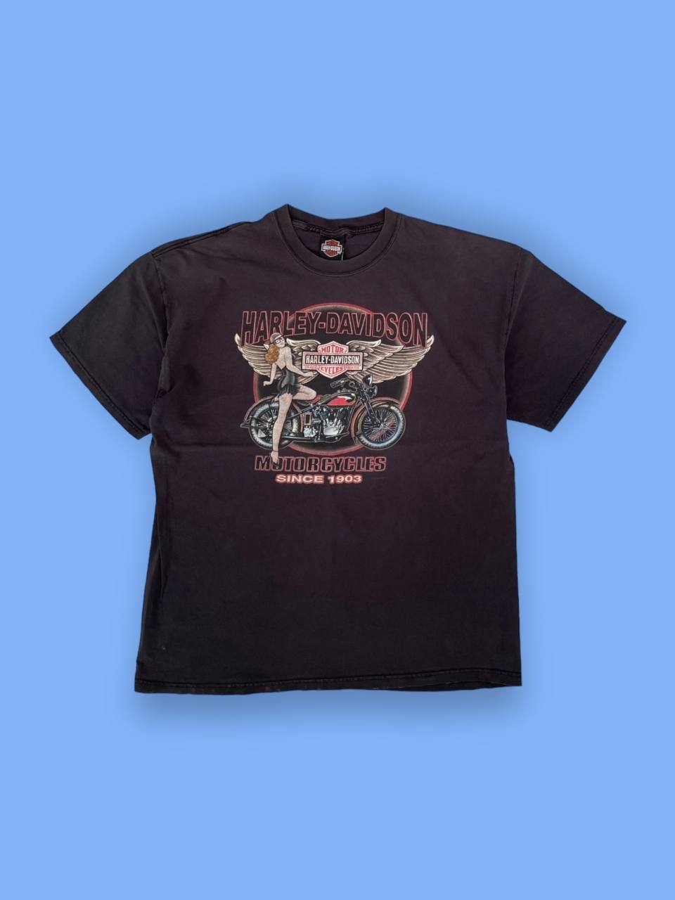 Футболка «Harley Davidson Virginia Beach»